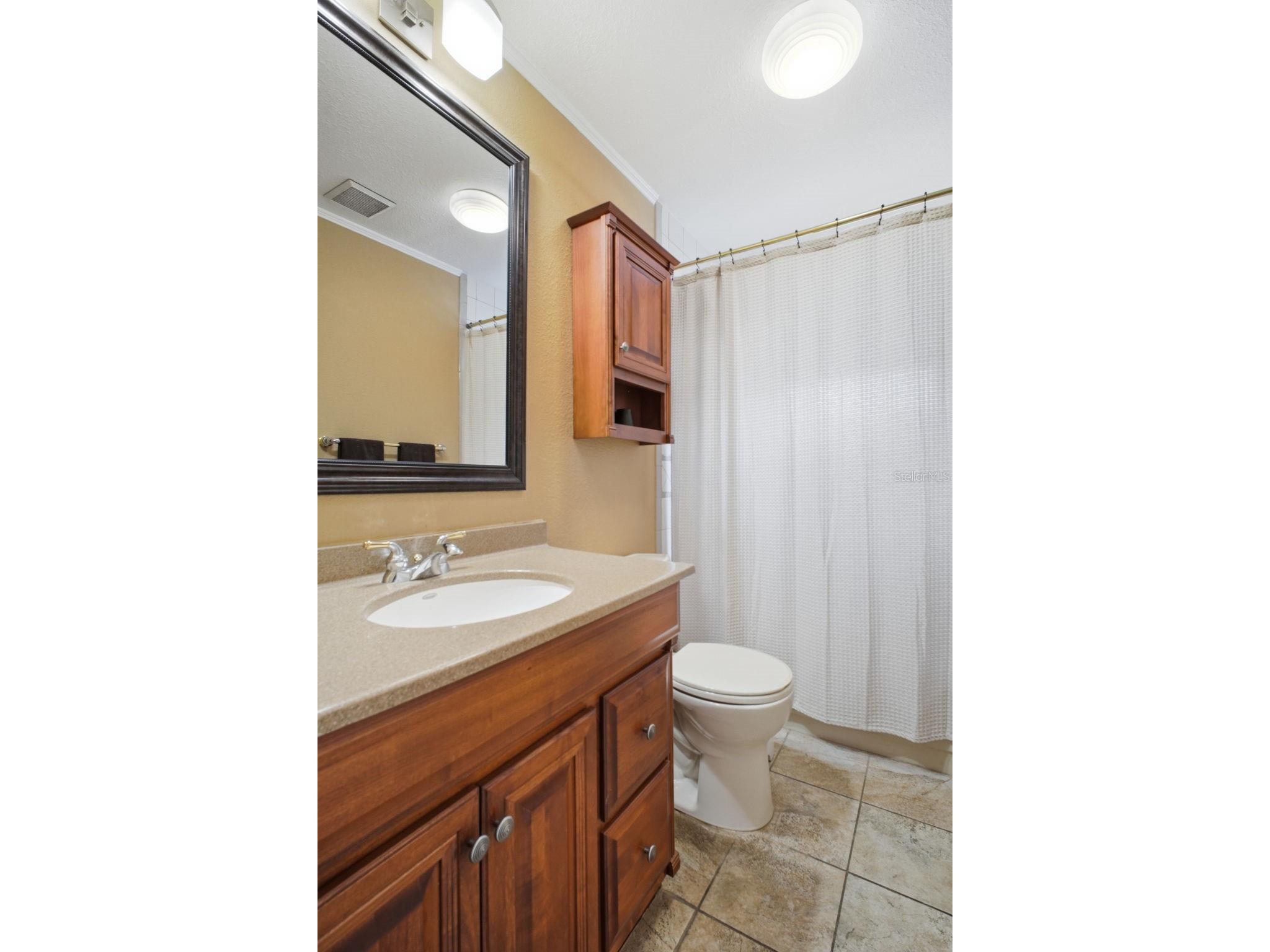 5 Venetian Court Tarpon Springs FL 34689 - MINETTA BAYOU TB8525838 image39