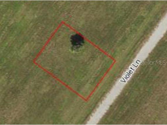 5 Violet Lane Placida FL 33946 D6137329 image1