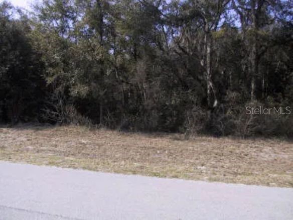 5 W Park Avenue Chiefland FL 32626 GC529119 image1