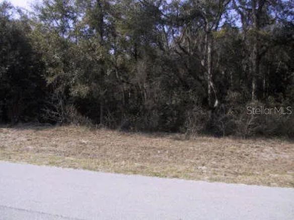 5 W Park Avenue Chiefland FL 32626 GC535584 image1