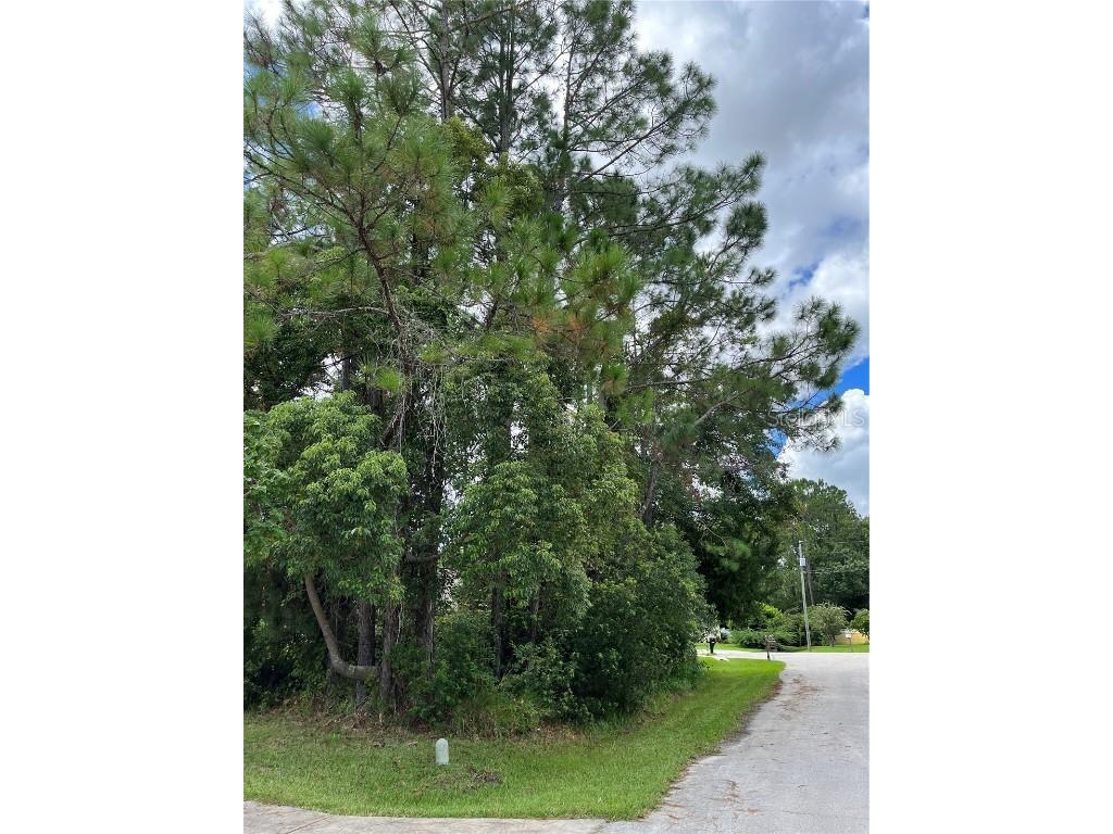 5 Wildwood Place Palm Coast FL 32164 FC286111 image1