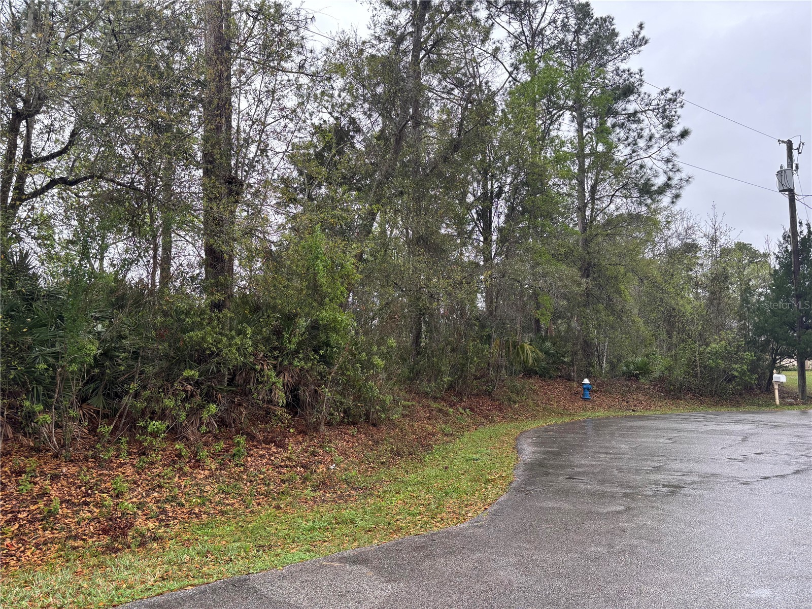 5 Woodchuck Place Palm Coast FL 32164 FC316892 image2