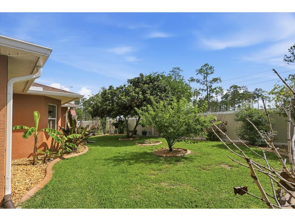 5 Zorlou Court Palm Coast FL 32164 FC318605 image50
