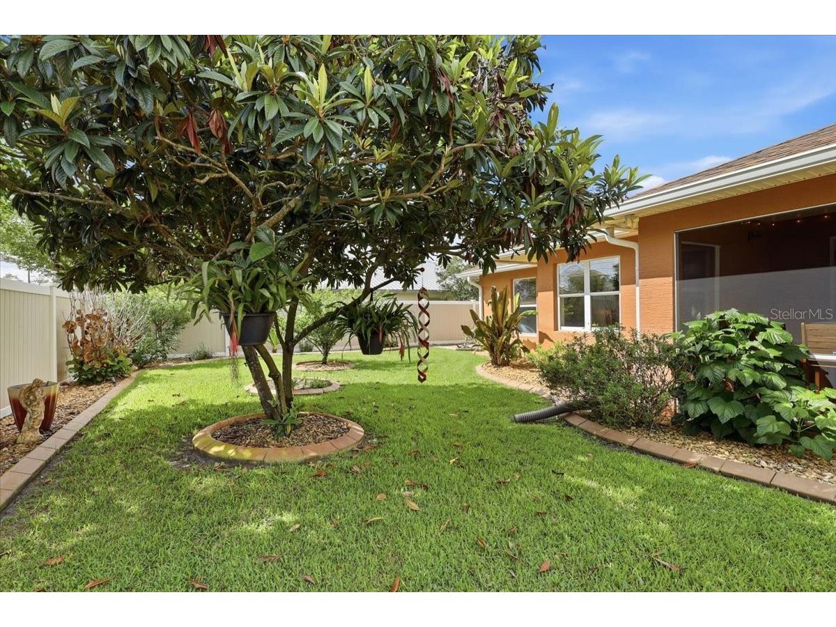5 Zorlou Court Palm Coast FL 32164 FC318605 image55