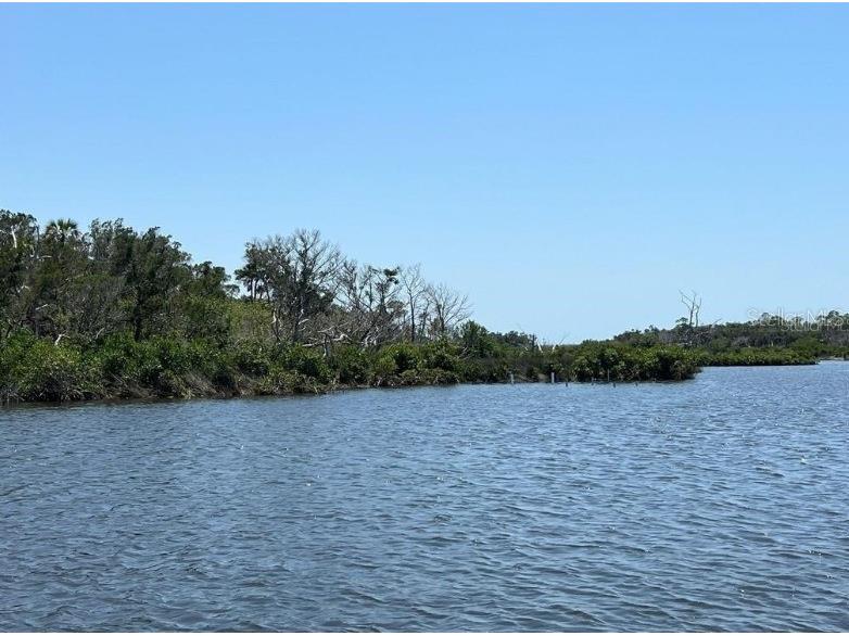 50 Carnahans Crystal River FL 34429 - SALT RIVER CRYSTAL RIVER V4940327 image7
