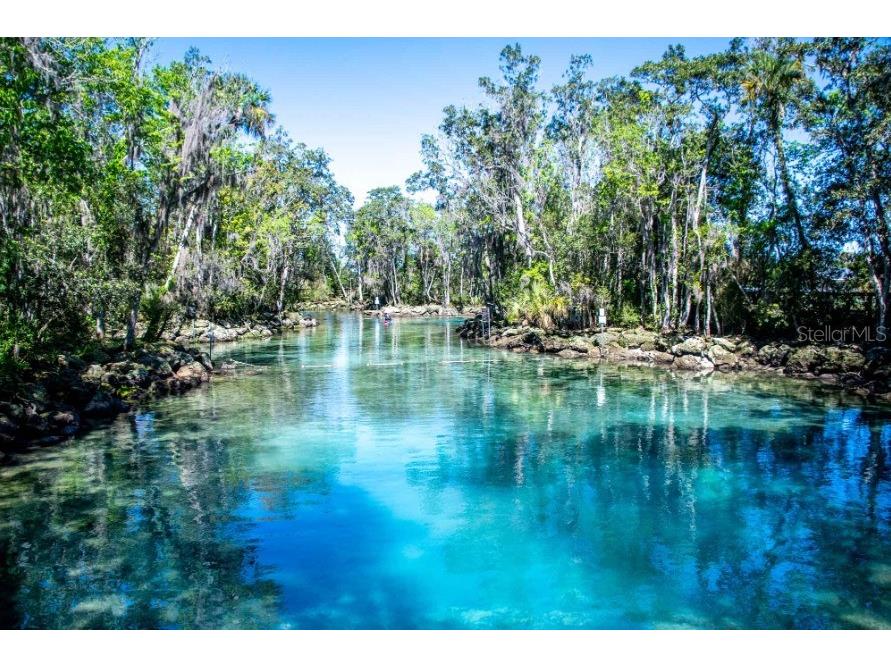 50 Carnahans Crystal River FL 34429 - SALT RIVER CRYSTAL RIVER V4940327 image8