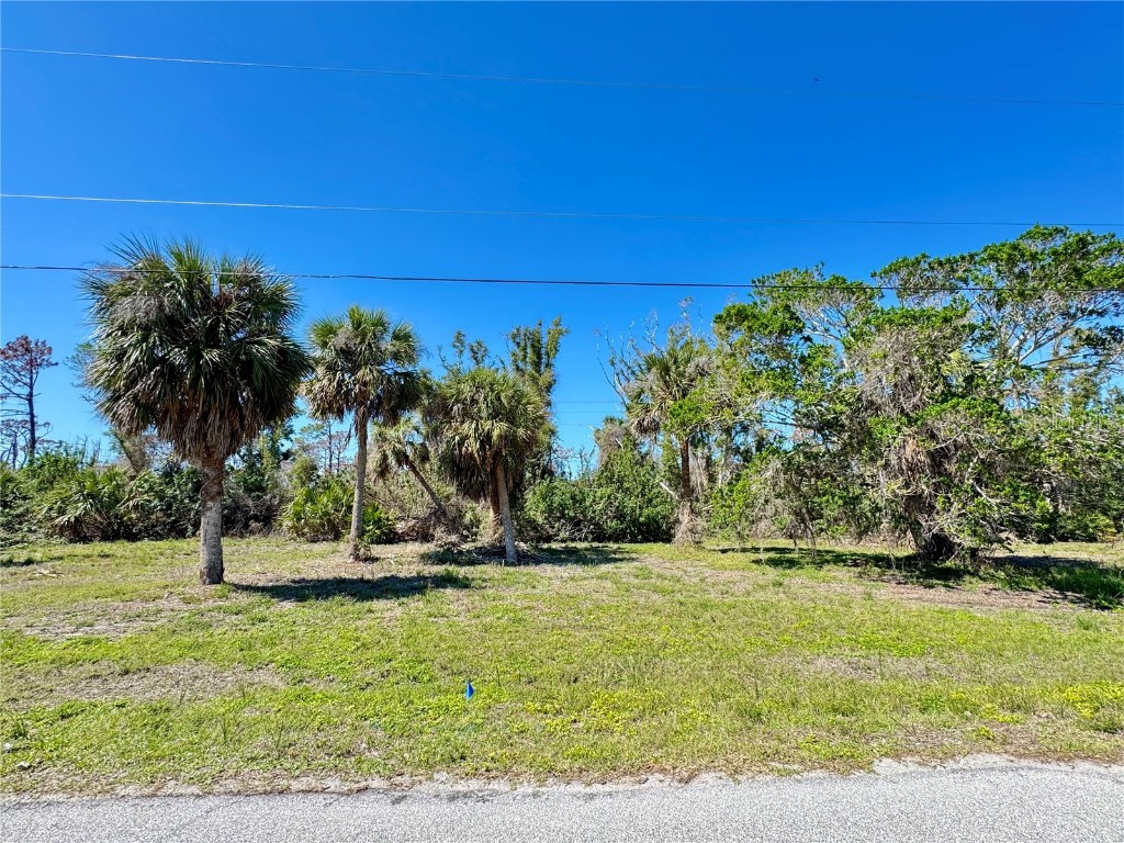 50 Cobia Drive Placida FL 33946 - GULF OF AMERICA NEARBY C7505824 image3