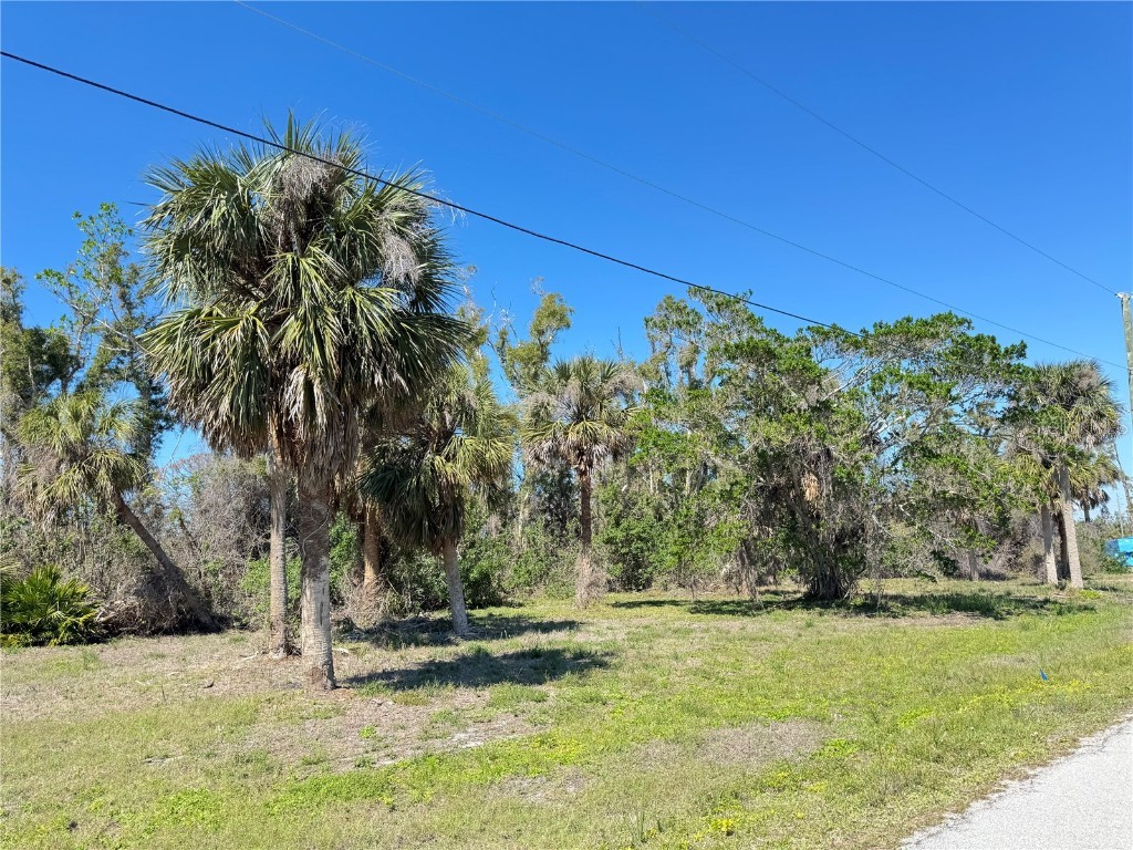 50 Cobia Drive Placida FL 33946 - GULF OF AMERICA NEARBY C7505824 image5