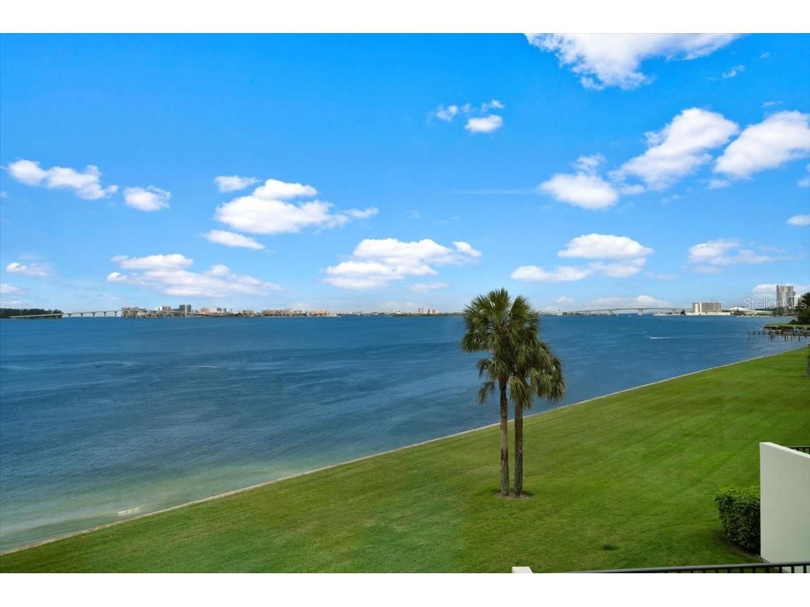 50 Coe Road #125 Belleair FL 33756 U8255931 image37