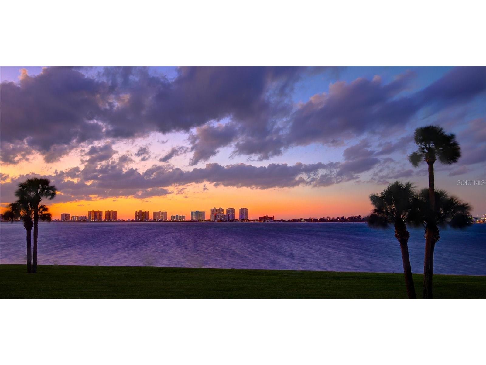 50 Coe Road #125 Belleair FL 33756 U8255931 image67