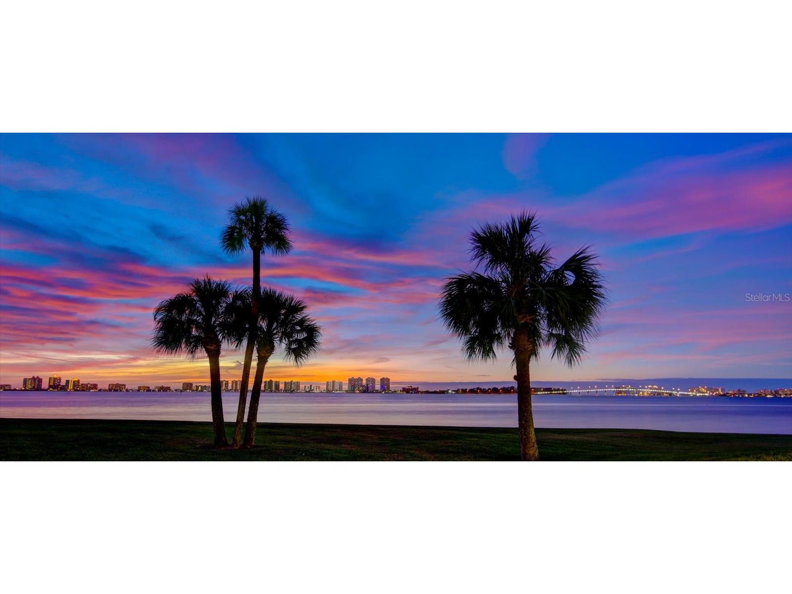 50 Coe Road #311 Belleair FL 33756 U8251062 image3