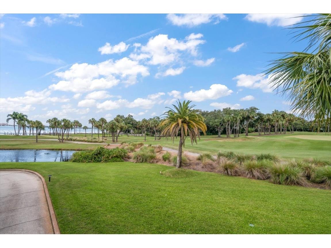 50 Coe Road #311 Belleair FL 33756 U8251062 image41