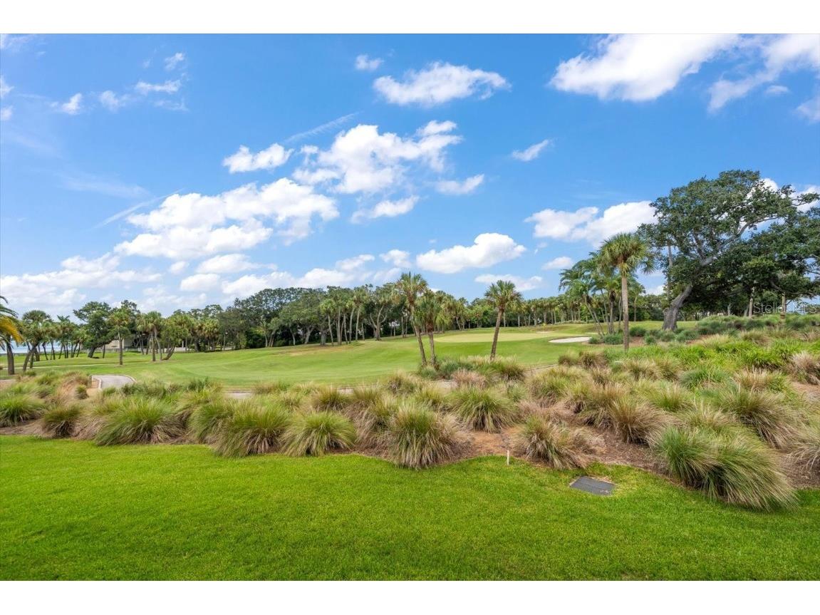 50 Coe Road #311 Belleair FL 33756 U8251062 image42