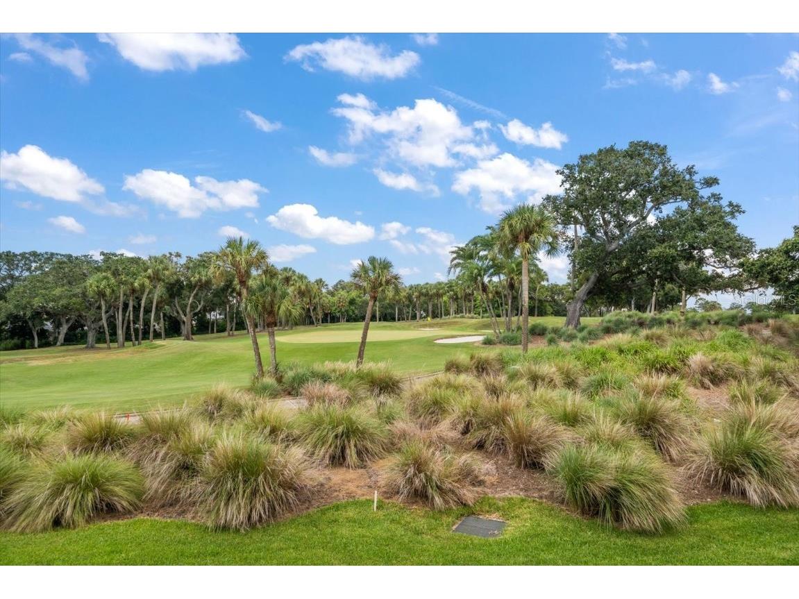 50 Coe Road #311 Belleair FL 33756 U8251062 image43