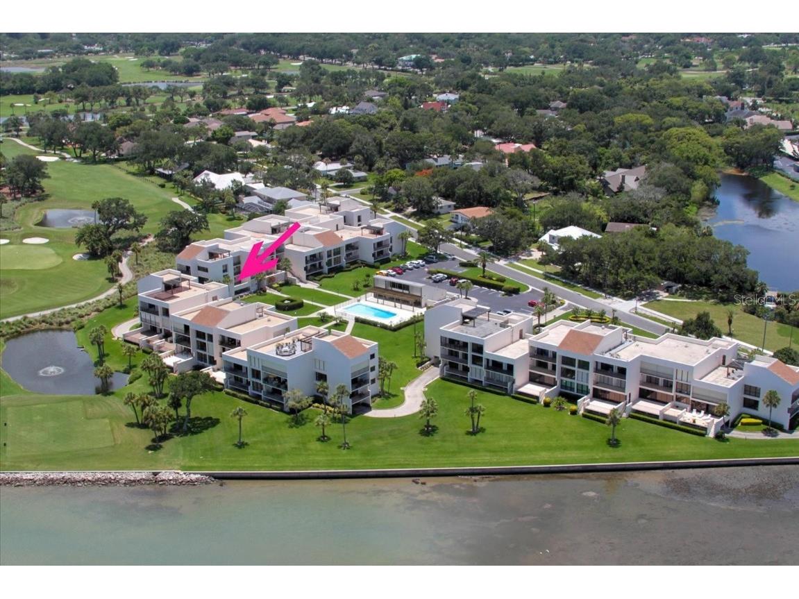 50 Coe Road #311 Belleair FL 33756 U8251062 image45