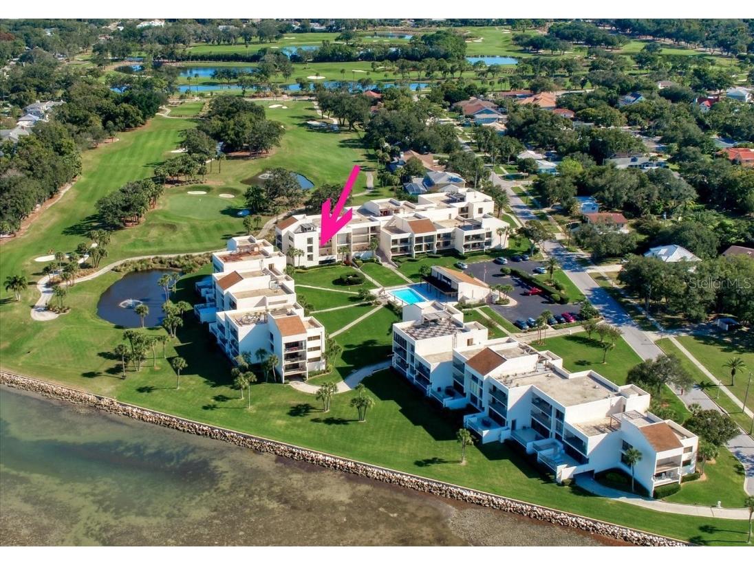 50 Coe Road #311 Belleair FL 33756 U8251062 image46