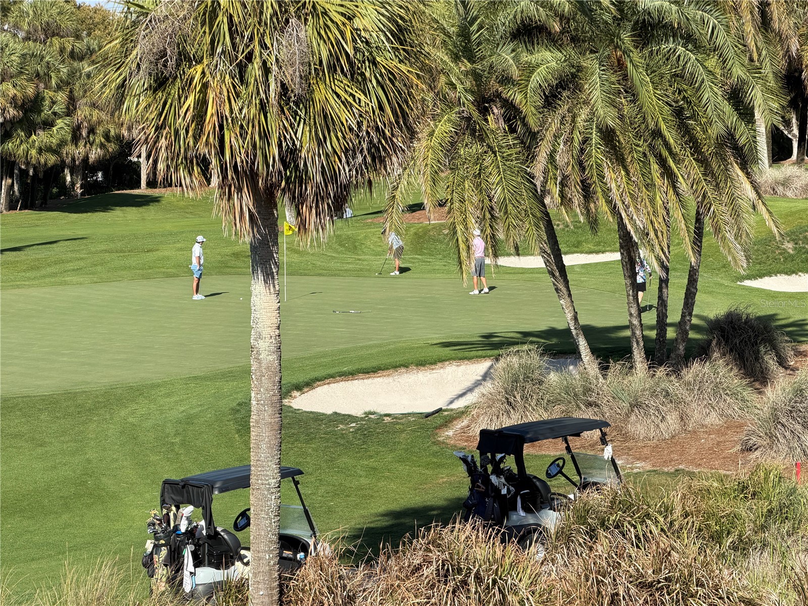 50 Coe Road #322 Belleair FL 33756 TB8474813 image16