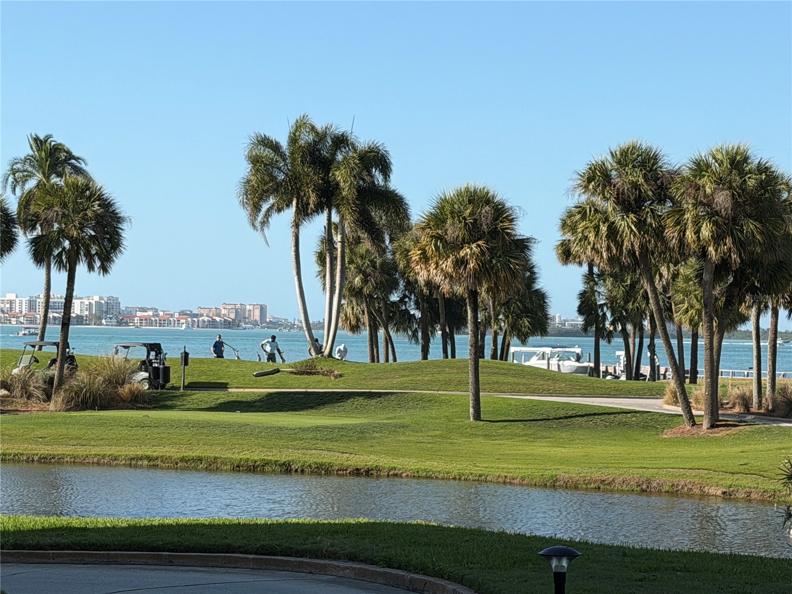 50 Coe Road #322 Belleair FL 33756 TB8474813 image19