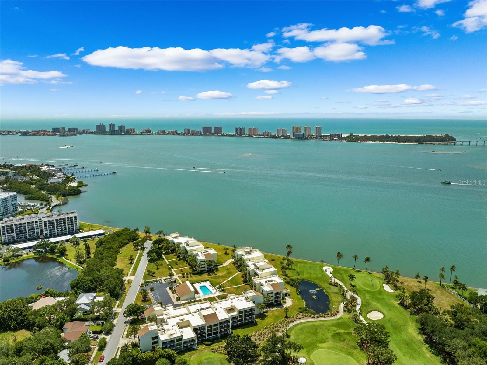 50 Coe Road #331 Belleair FL 33756 TB8467738 image69