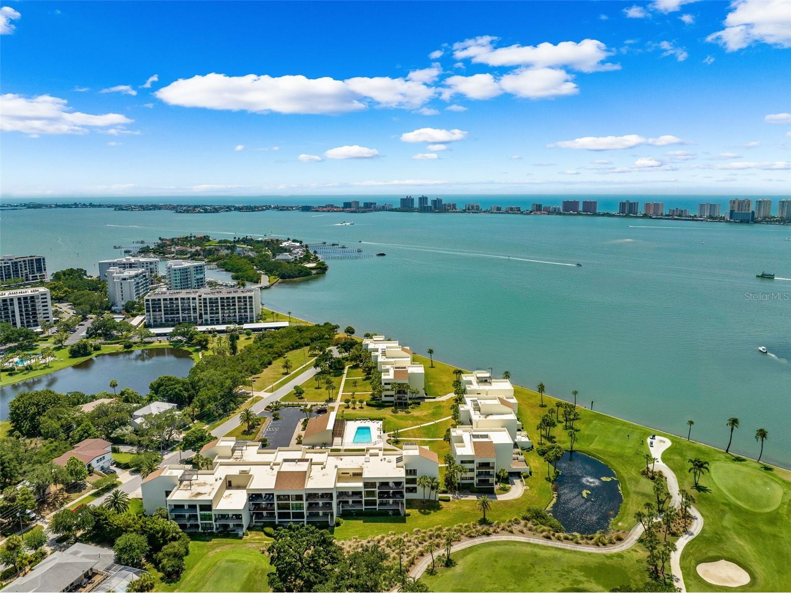 50 Coe Road #331 Belleair FL 33756 TB8467738 image70