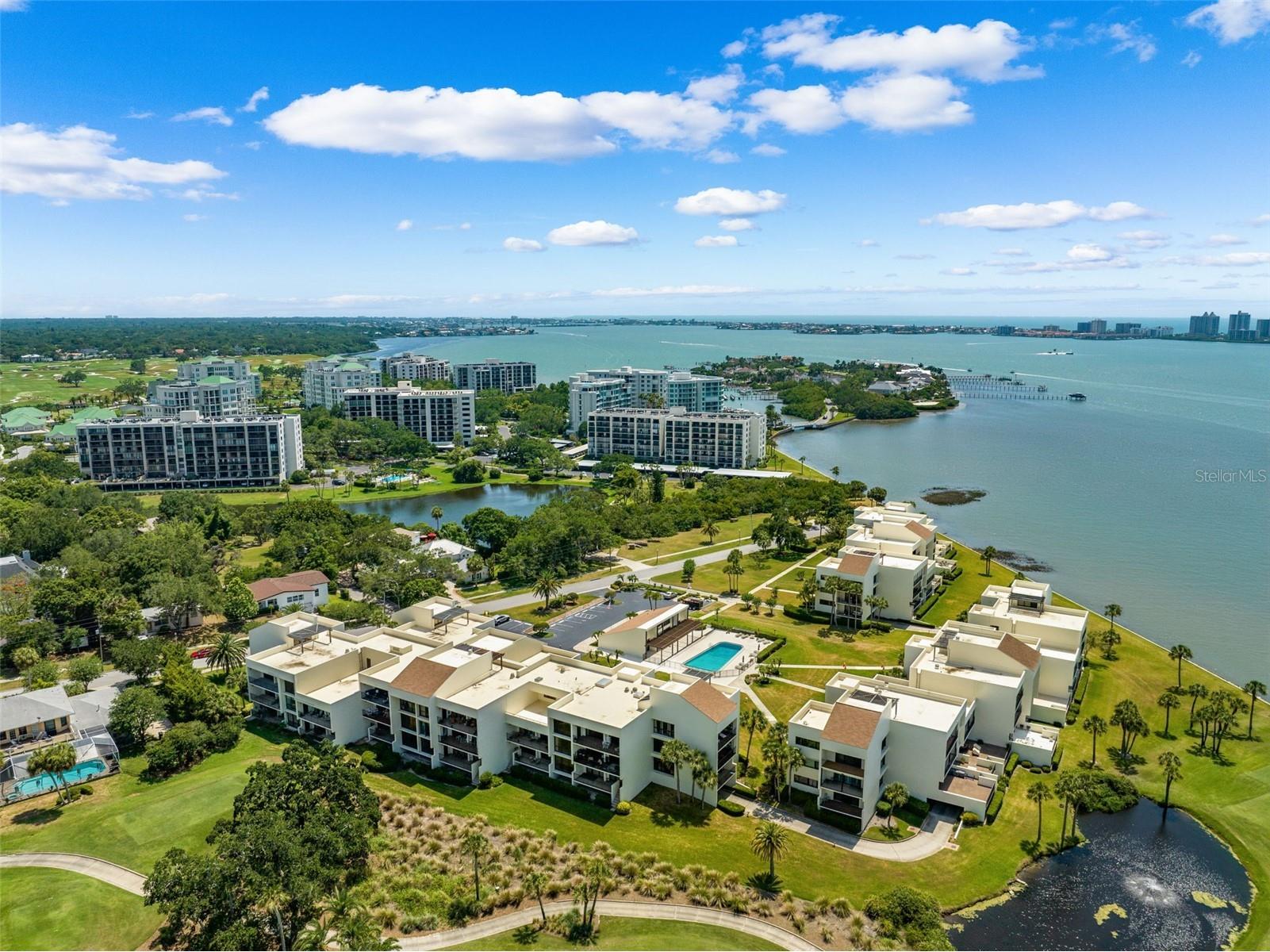 50 Coe Road #331 Belleair FL 33756 TB8467738 image71