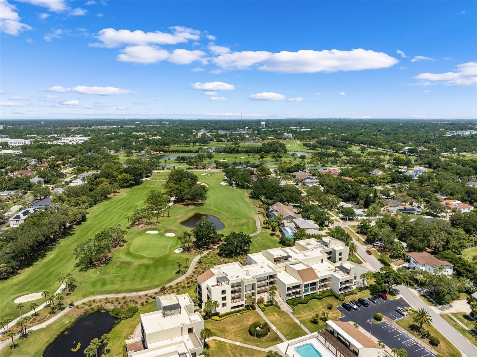 50 Coe Road #331 Belleair FL 33756 TB8467738 image74