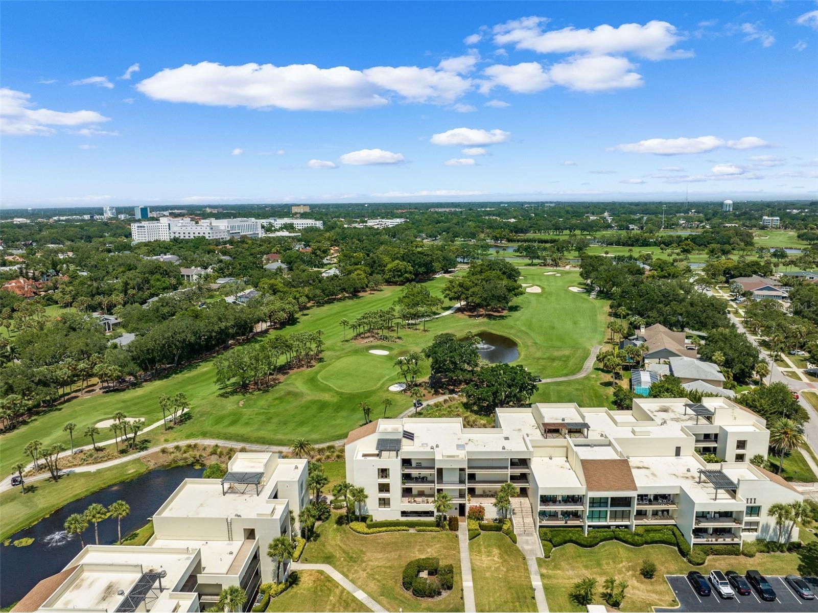 50 Coe Road #331 Belleair FL 33756 TB8467738 image75