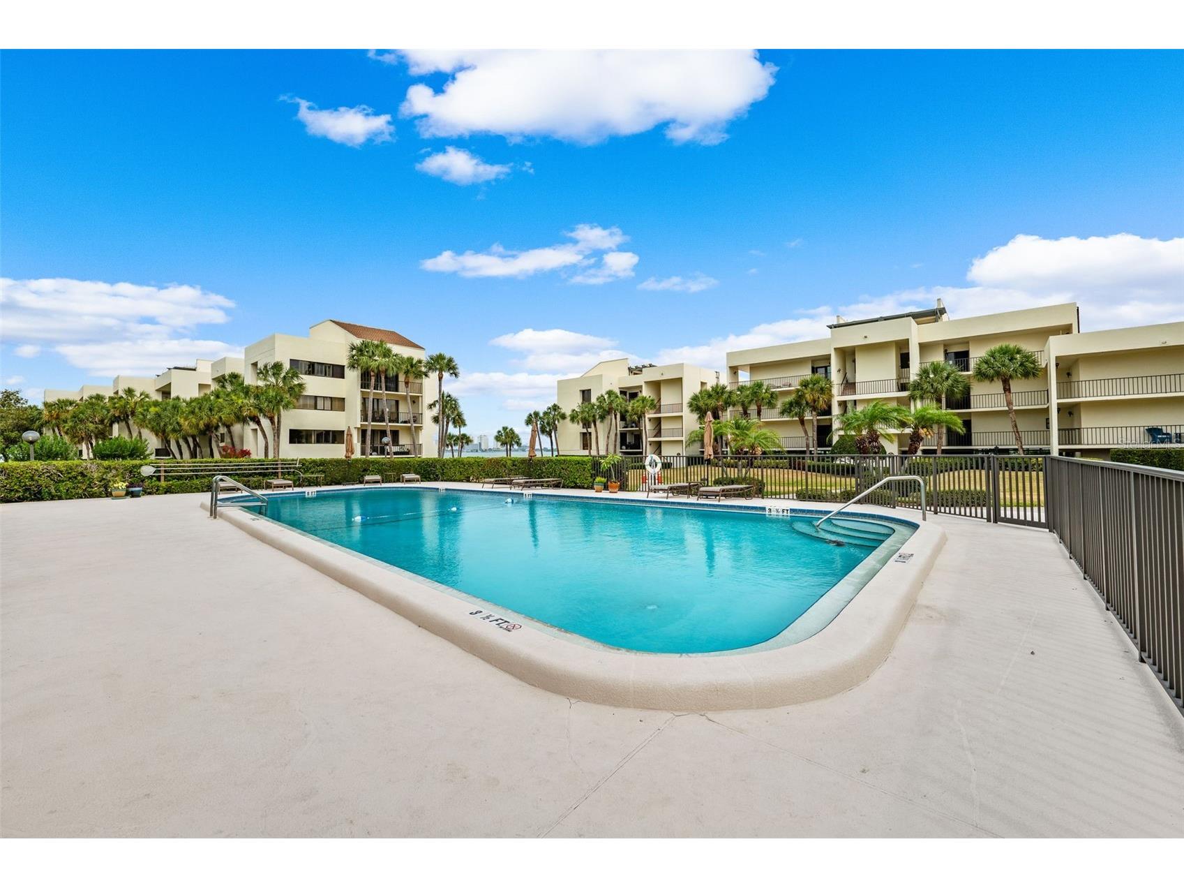 50 Coe Road #331 Belleair FL 33756 TB8467738 image83