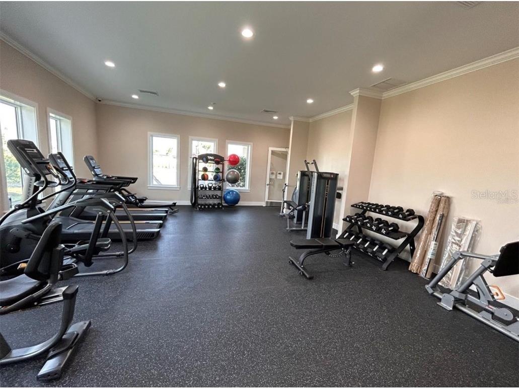 50 Del Palma Drive Palm Coast FL 32137 FC311748 image8