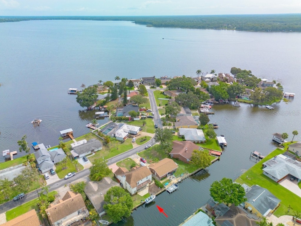 50 Freshwater Drive Palm Harbor FL 34684 - LAKE TARPON U8205003 image1