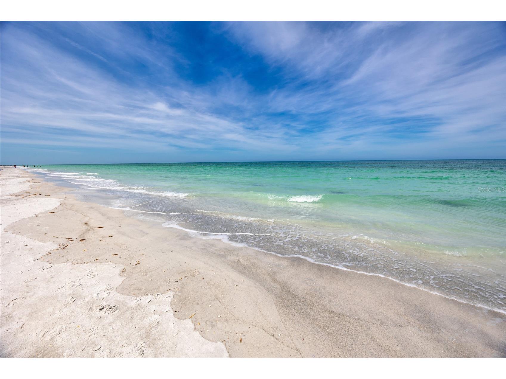 50 Gulf Boulevard #108 Indian Rocks Beach FL 33785 TB8509682 image45
