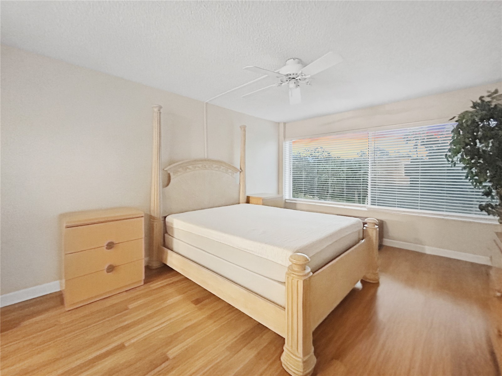 50 Harbor View Ln #23 Belleair Bluffs FL 33770 TB8477385 image20