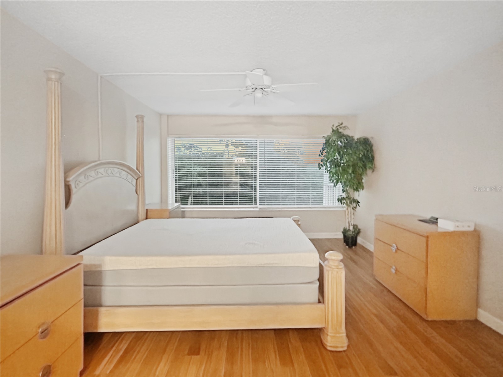 50 Harbor View Ln #23 Belleair Bluffs FL 33770 TB8477385 image21