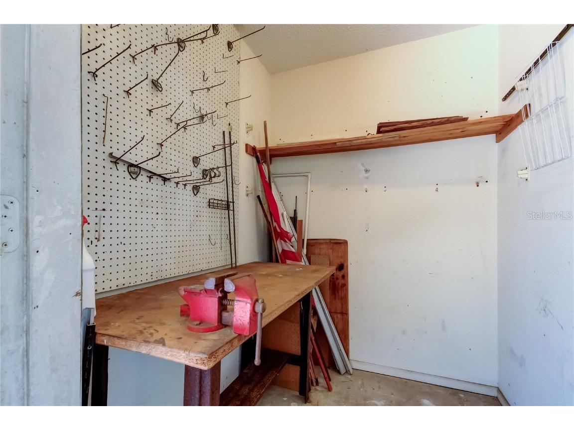 50 Ingrid Place #50 Oldsmar FL 34677 TB8394672 image29