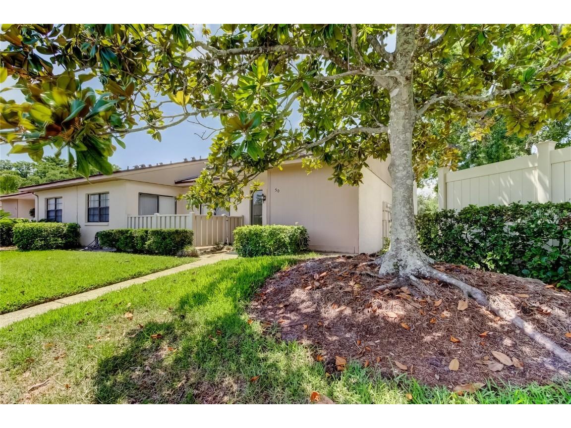 50 Ingrid Place #50 Oldsmar FL 34677 TB8394672 image3