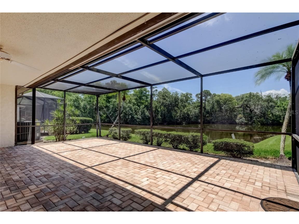 50 Ingrid Place #50 Oldsmar FL 34677 TB8394672 image31
