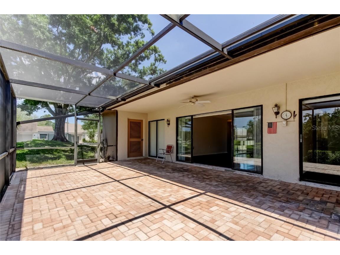 50 Ingrid Place #50 Oldsmar FL 34677 TB8394672 image33