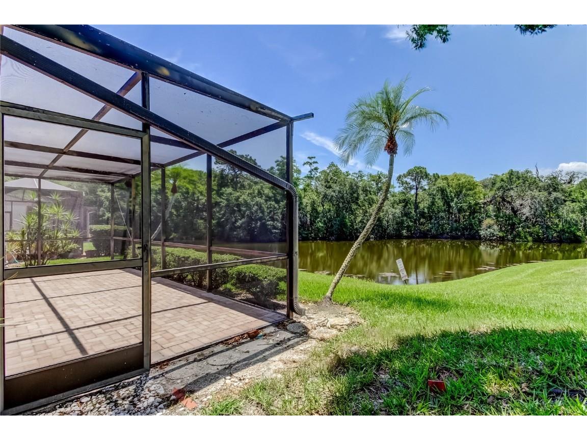 50 Ingrid Place #50 Oldsmar FL 34677 TB8394672 image46