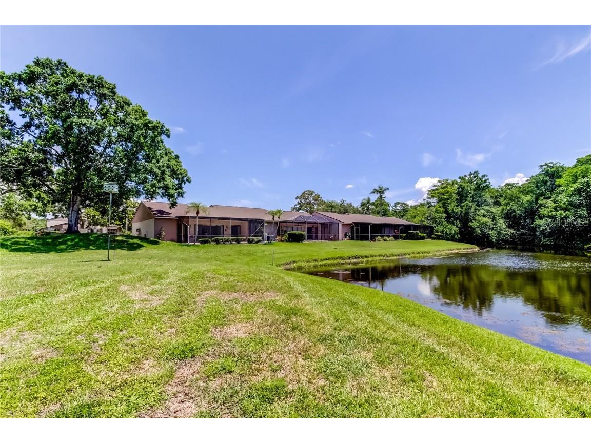 50 Ingrid Place #50 Oldsmar FL 34677 TB8394672 image48