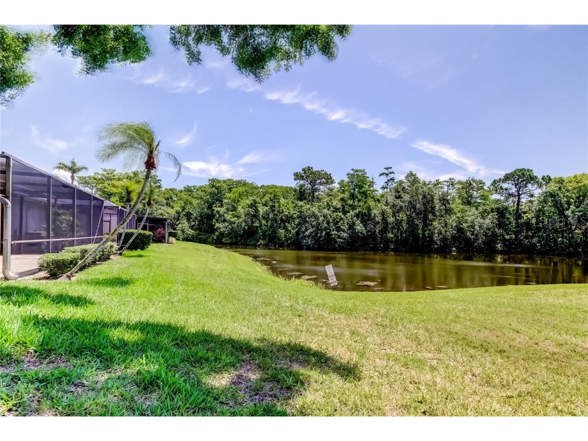 50 Ingrid Place #50 Oldsmar FL 34677 TB8394672 image49