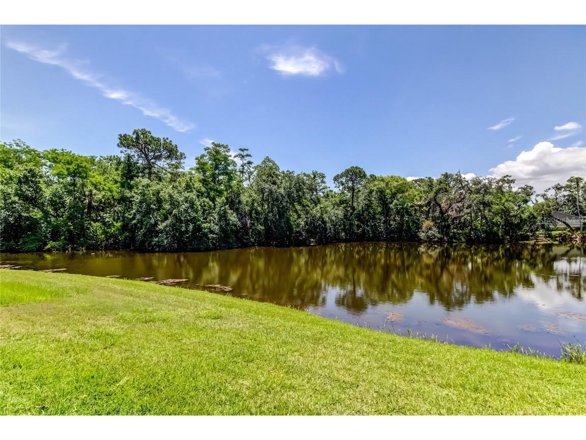 50 Ingrid Place #50 Oldsmar FL 34677 TB8394672 image50