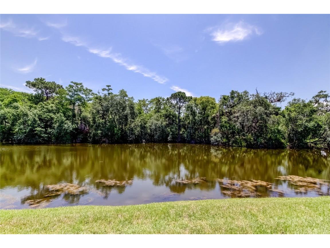 50 Ingrid Place #50 Oldsmar FL 34677 TB8394672 image51