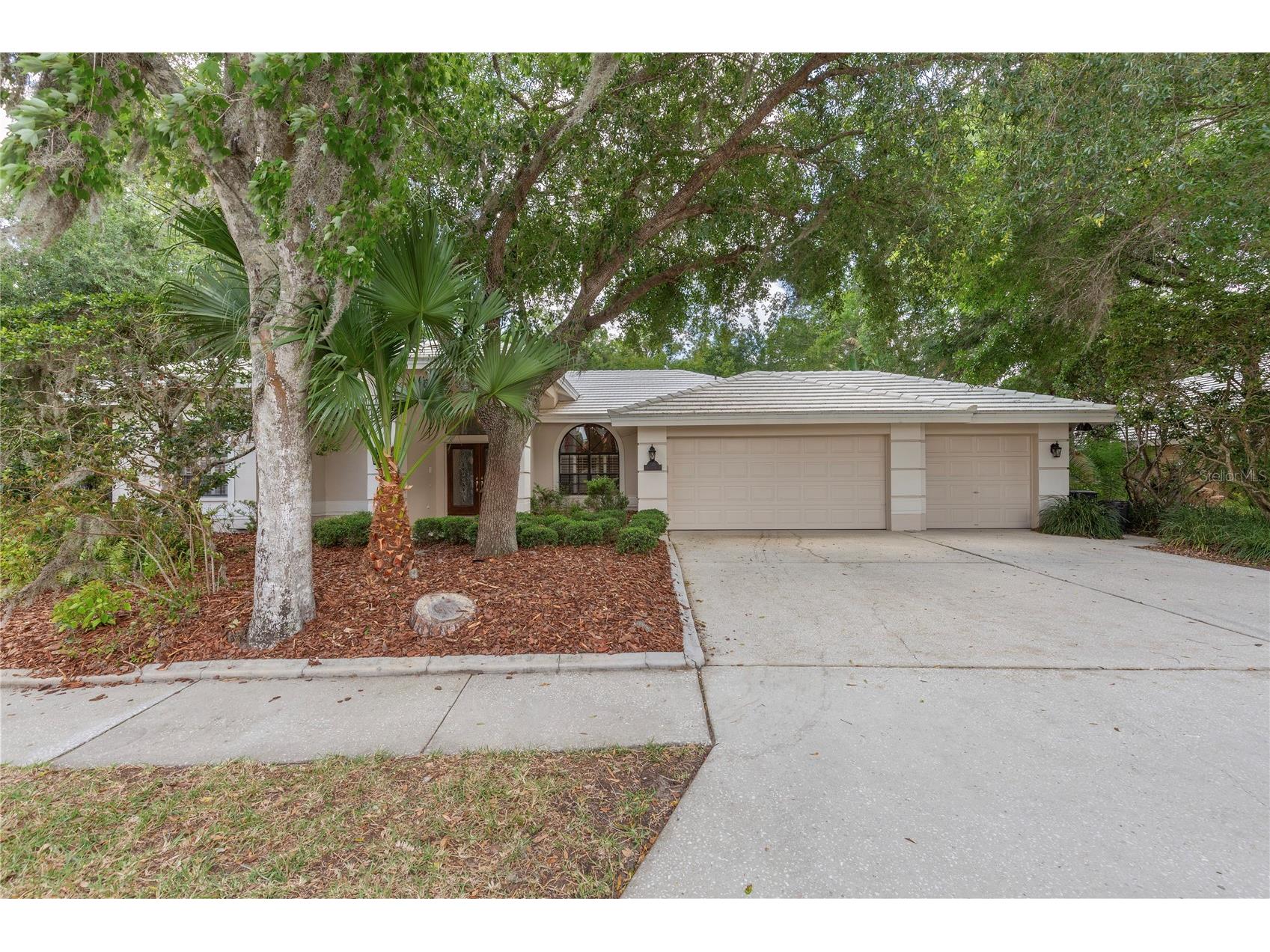 50 Kelleys Trail Oldsmar FL 34677 TB8504781 image2