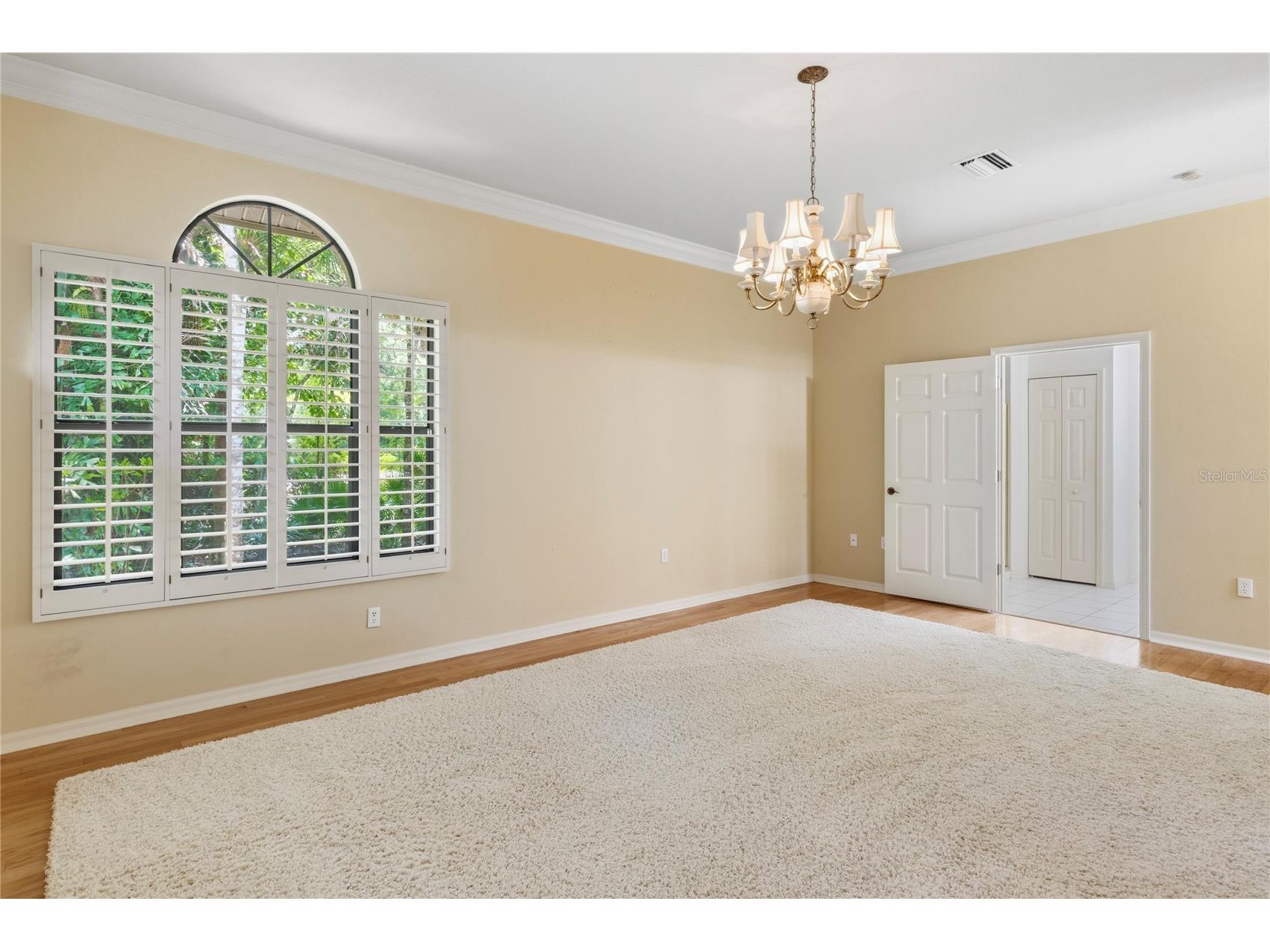 50 Kelleys Trail Oldsmar FL 34677 TB8504781 image29