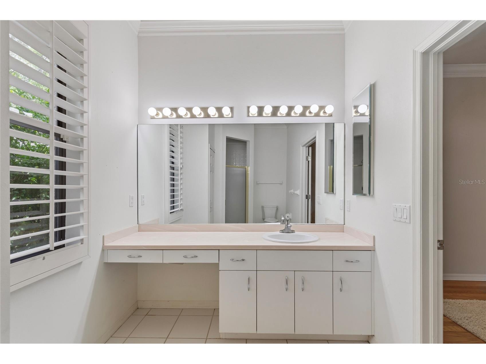 50 Kelleys Trail Oldsmar FL 34677 TB8504781 image34