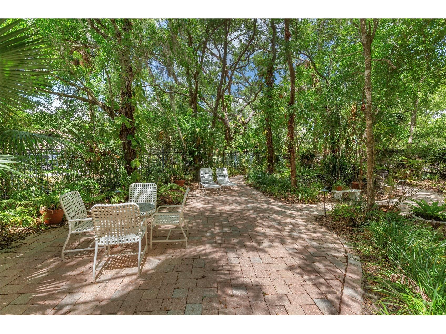 50 Kelleys Trail Oldsmar FL 34677 TB8504781 image46