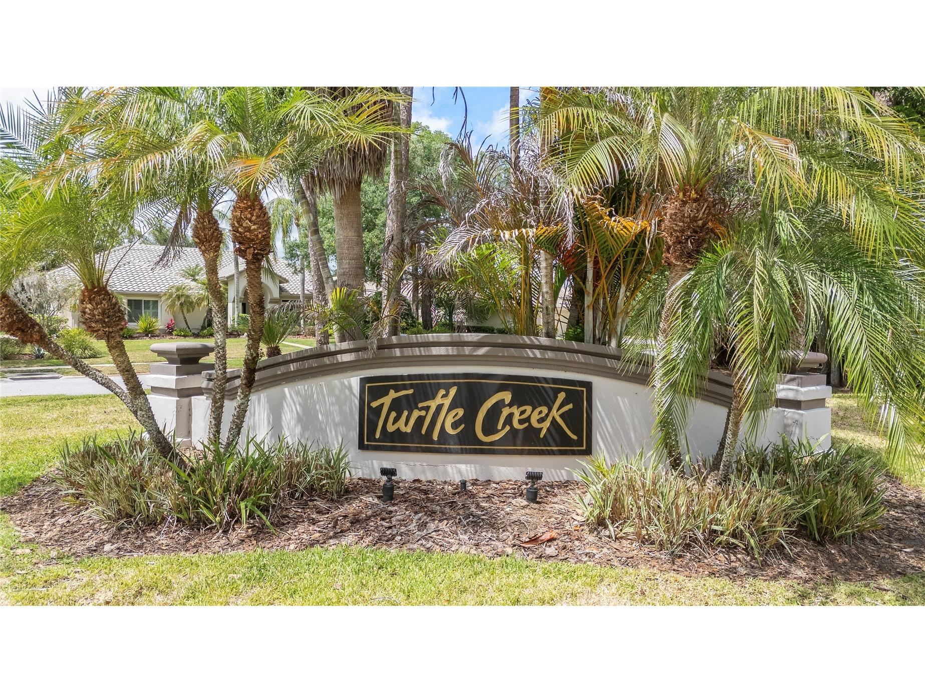 50 Kelleys Trail Oldsmar FL 34677 TB8504781 image49