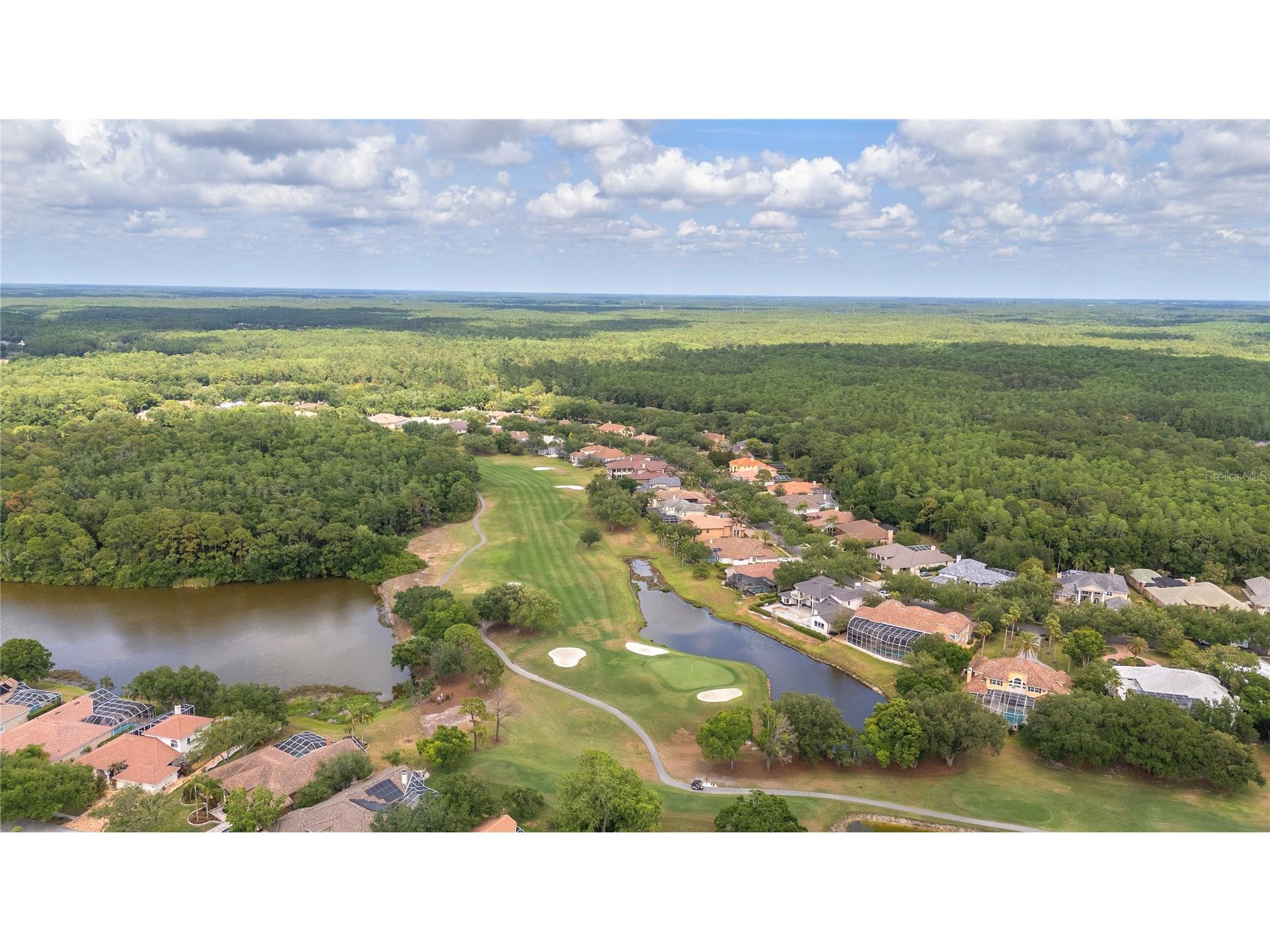 50 Kelleys Trail Oldsmar FL 34677 TB8504781 image52