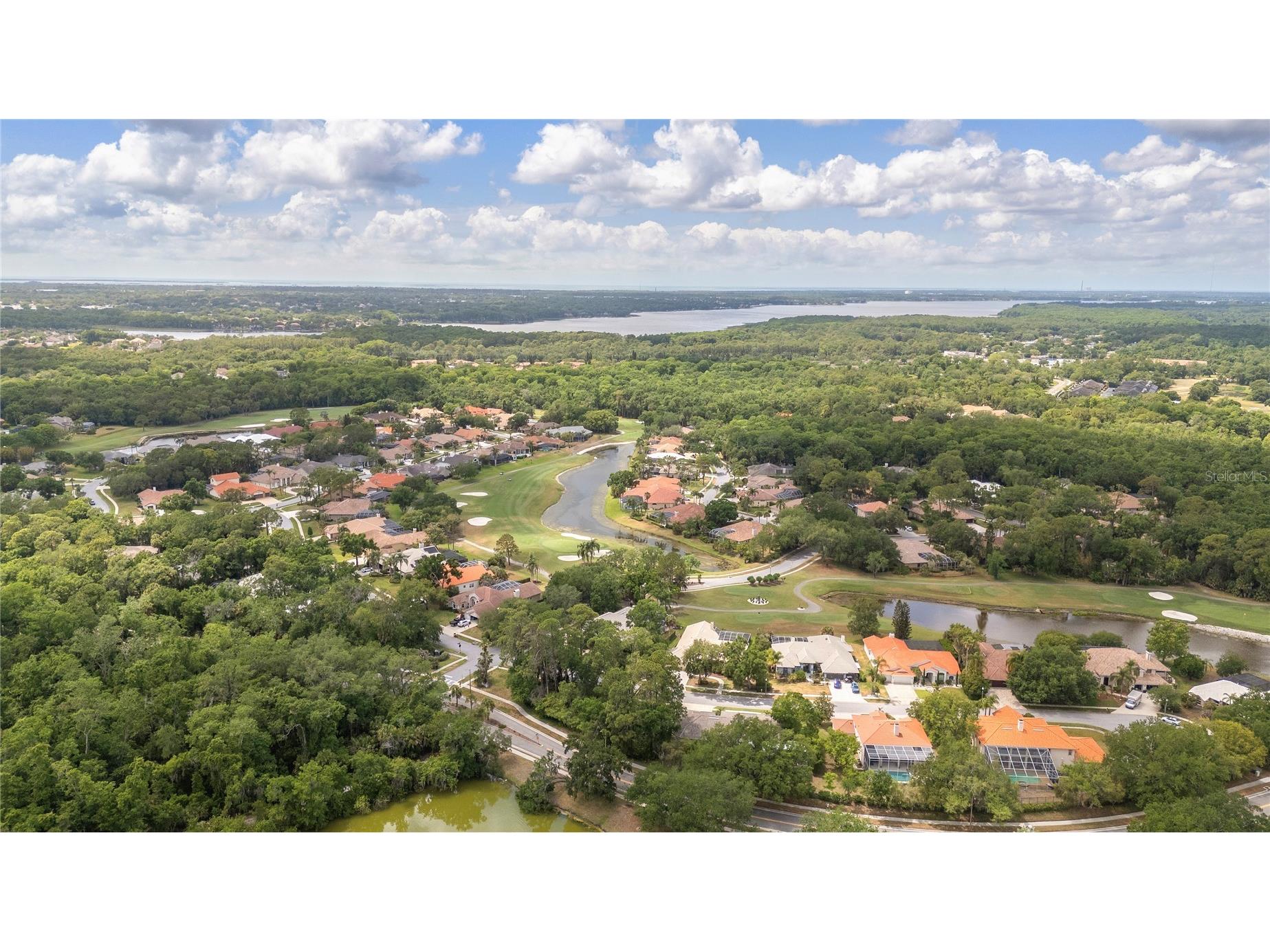 50 Kelleys Trail Oldsmar FL 34677 TB8504781 image53