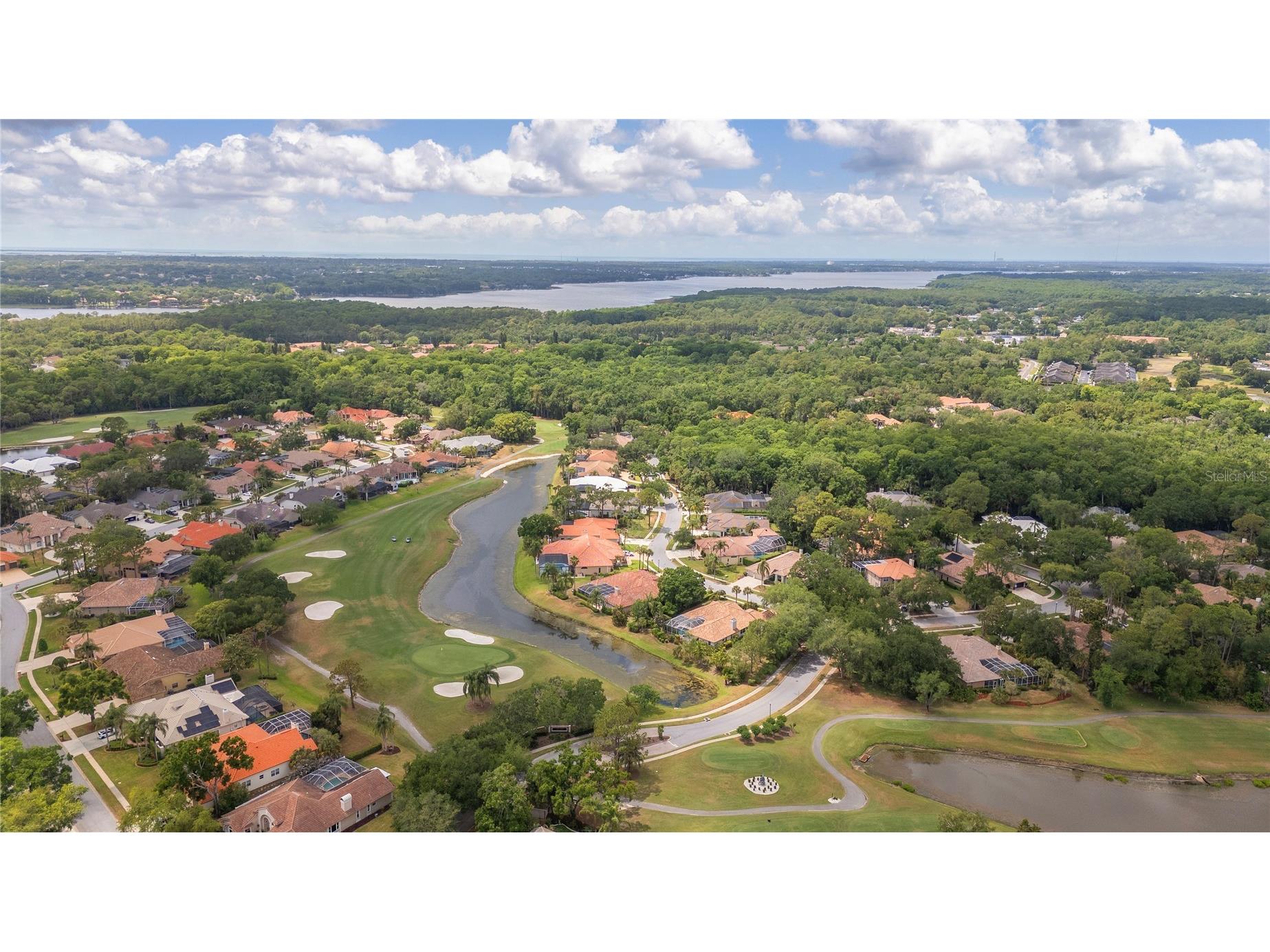 50 Kelleys Trail Oldsmar FL 34677 TB8504781 image54